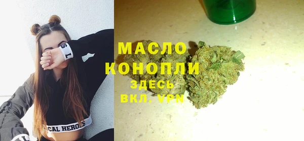 тгк Абаза