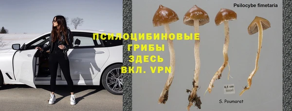 тгк Абаза