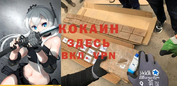 тгк Абаза