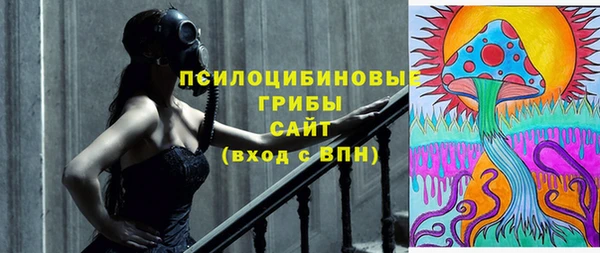 ешки Абинск