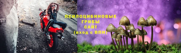 тгк Абаза
