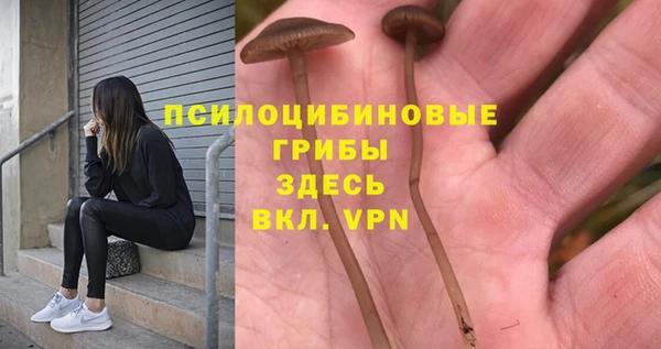 ешки Абинск