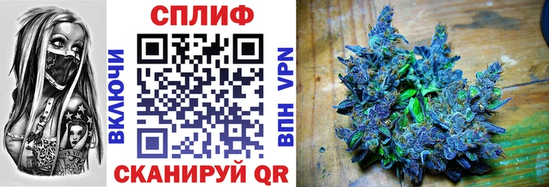 закладка  shop Telegram  hydra онион  Марихуана планчик  Камень-на-Оби 